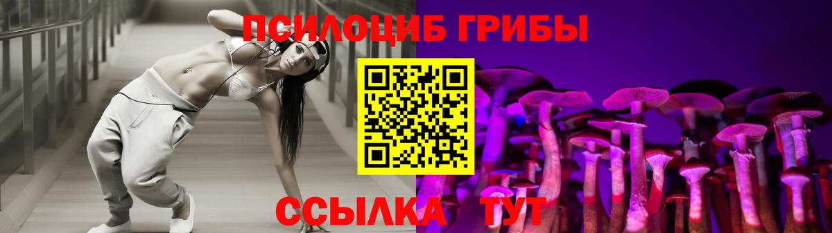 Галлюциногенные грибы Cubensis  Вход с VPN  Йошкар-Ола 